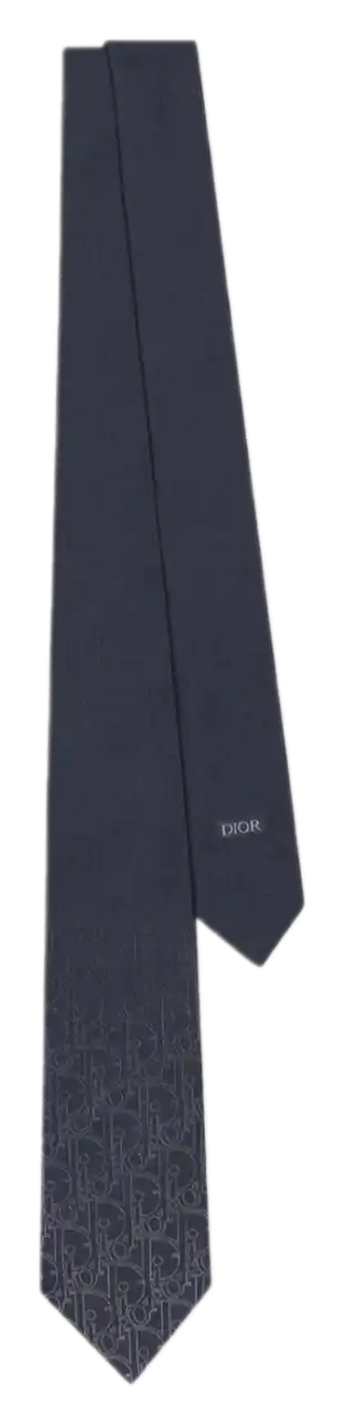 Gradient Dior Gravity Tie - Navy Blue and White Silk