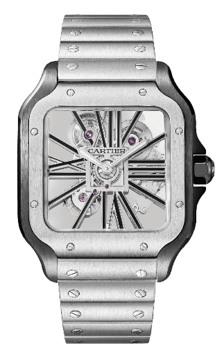 Santos De Cartier Skeleton Watch - 28mm, Steel, Sapphire