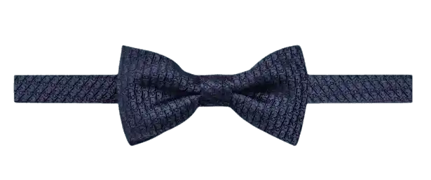 Dior Oblique Bow Tie - Blue Silk