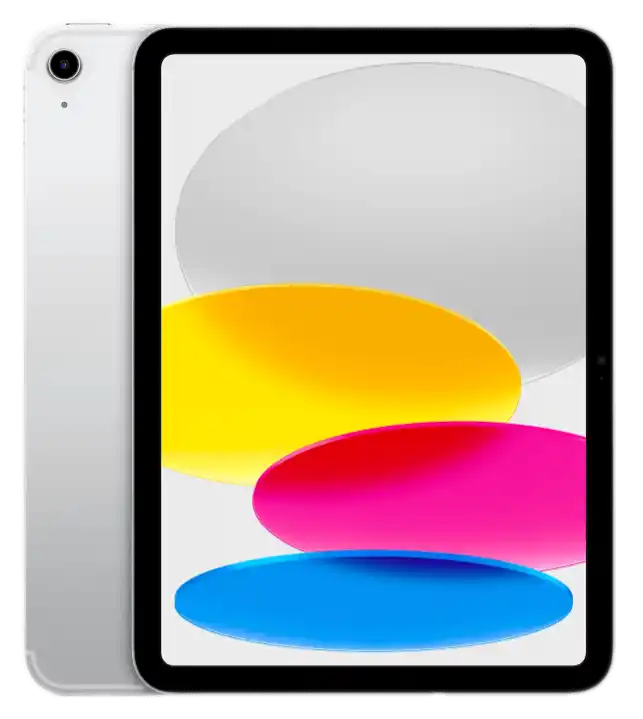 iPad - Silver, 256GB, Wi-Fi and Cellular