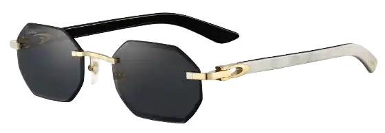 Cartier Signature C De Cartier Sunglasses - Gray