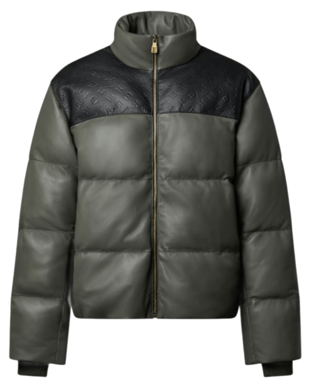 Louis Vuitton Leather Down Jacket